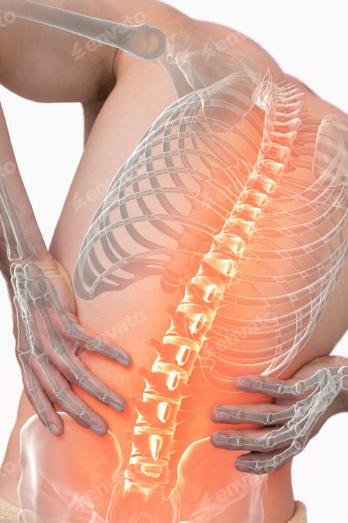 Preview: Digital Composite Of Highlighted Spine Of Man With Back Pain Against White Background