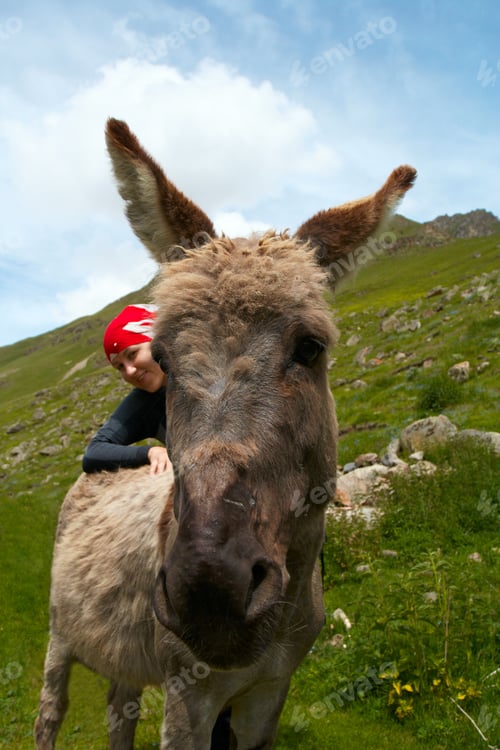 Preview: Smiling Girl Hiker And Donkey Are Standing At The Mountains