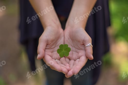 Preview: Hand Holding Green Clover Leaf Sending To Another Hand. Blur Nature Background. Rim Light. Little