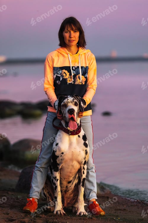Preview: Focused Young Woman In Casual Clothes Walking With Grate Dane Harlequin Dog On Rocky Seashore In