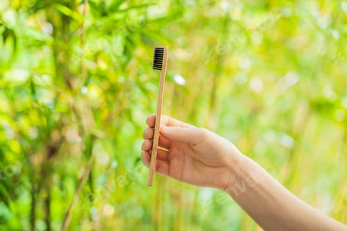Preview: Bamboo Toothbrush On A Background Of Green Growing Bamboo