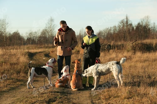 Preview: Young Happy European Man And Woman Standing With Four Dogs And Training Them. Yellow Grass And