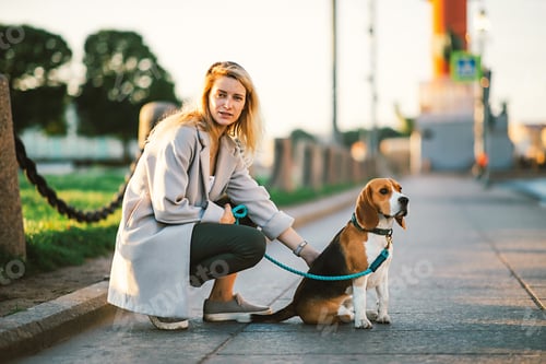 Preview: Young Woman In Casual Wear Stroking Calm Beagle Dog With Leash In Urban Street