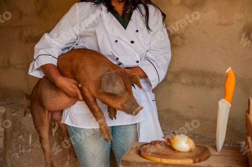 Preview: Attractive Indian Woman Cook Posing With Red Pig. Closeup Portrait Of Young Beautiful Woman