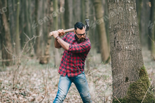 Preview: Bearded Man. Lumberjack.