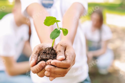 Preview: Little Volunteer With Young Plant Outdoors, Closeup
