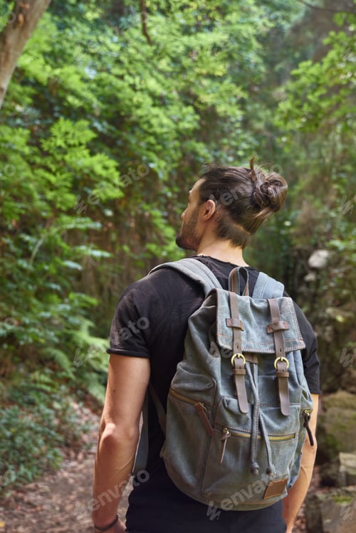 Preview: Rear View Of A Man Walking In A Forest, Surrounded By Trees
