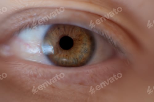Preview: Eye Macro Detail, Human Eye Close-Up, Macro Shot, Eyelashes, Pupil. Man 60 Years Old Senior