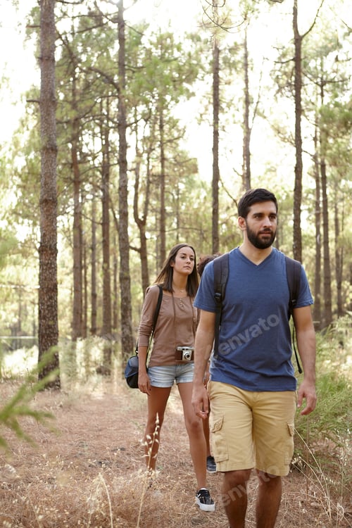 Preview: Two Friends Walking Through A Pine Tree Plantation In The Late Afternoon Sunshine While Wearing