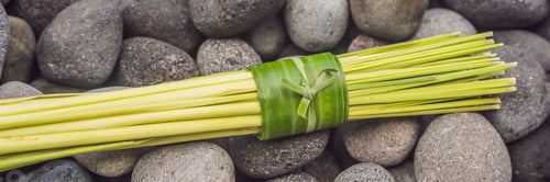 Preview: Banner, Long Format Eco-Friendly Product Packaging Concept. Lemongrass Wrapped In A Banana Leaf, As