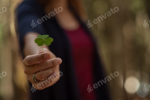 Preview: Clover In Female Hand In Sunny Spring Day. Blur Nature Background. Rim Light. Little Warm Tone