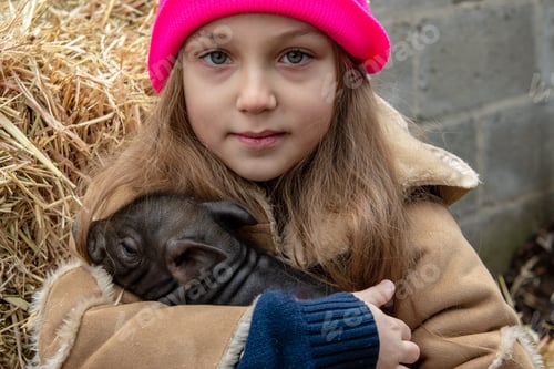 Preview: Adorable Little Child In Colorful Clothers Playing With Just Born Piglets In Winter Fermers Yard