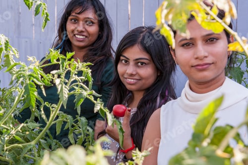 Preview: Attractive Indian Girls Posing In Garden In Greenhouse With Tomatoes And Vegetables. Closeup