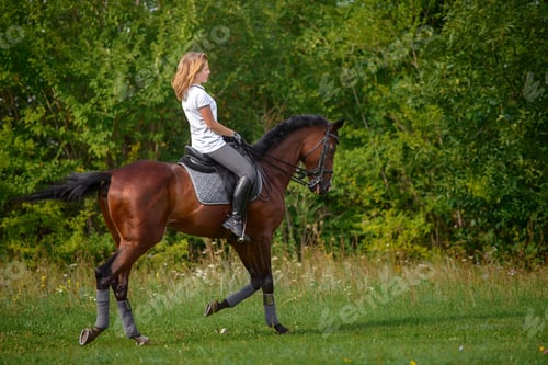 Preview: Portrait Of A Beautiful Young Girl Rider And Her Brown Horse