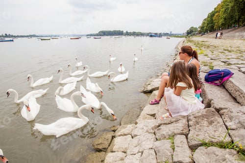 Preview: Young Mother And Her Two Daughter Feed Swans On River Danube , Family Relaxing On Water