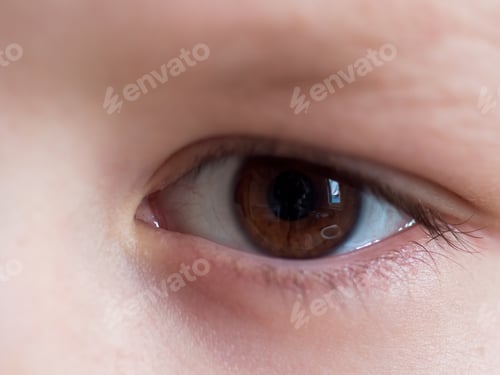 Preview: Human Eye Close Up. Eyebrows, Eyelashes, Eyeball, Pupil. Green-Yellow Color. Shallow Focus, Blur