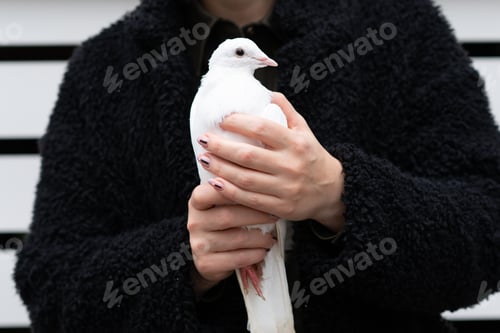 Preview: Girl Holding Dove