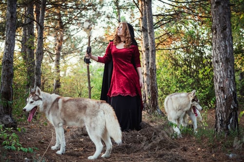 Preview: Witch In The Wood. Practicing Magic. Halloween Concept