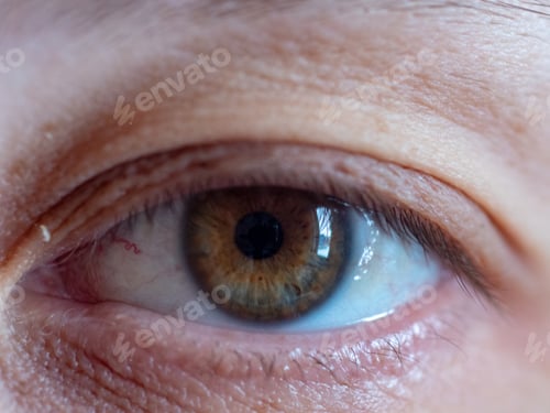 Preview: Human Eye Close Up. Green Color. Shallow Focus, Blur. Women 35 Years Old