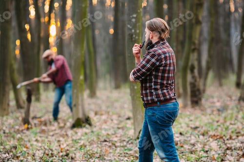 Preview: Two Bearded Mans