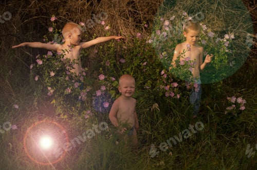 Preview: Toddlers Climbed Into The Thicket Of Flowers In The Summer Noon. Concept Of Children Among Flowers.