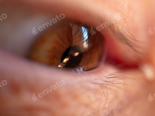 Preview: Eye Macro Shot, Green Human Eye Closeup, Macro Shot, Eyelashes, Pupil. 35 Year Old Woman