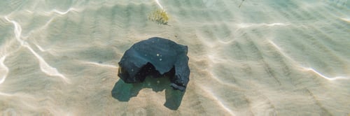 Preview: Creative Background, Plastic Bag Floating In The Ocean, A Bag In The Water. The Concept Of