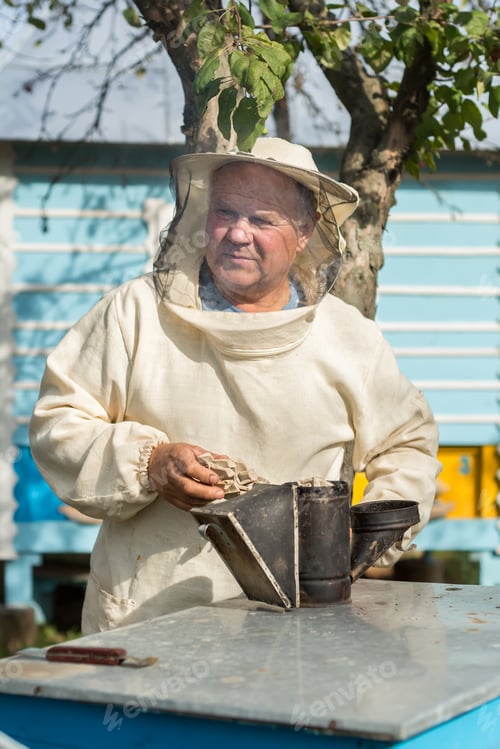 Preview: Beekeeper Is Working With Bees And Beehives On The Apiary. Beekeeper On Apiary.
