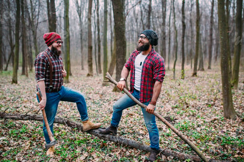 Preview: Two Bearded Mans