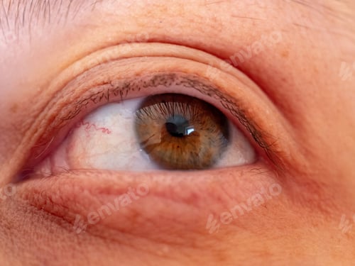 Preview: Eye Macro Shot, Green Human Eye Closeup, Macro Shot, Eyelashes, Pupil. 35 Year Old Woman