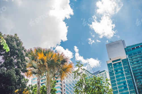 Preview: Green Park With Tropical Plants On The Background Of The City Skyline. Ecology Concept.