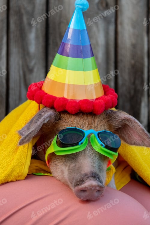 Preview: Funny Pig Wrapped In Yellow Towel Sits On Lap Of A Peasant Woman. On Piglet Wearing Rainbow