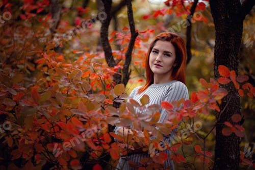 Preview: Beautiful Young Woman Enjoys The Autumn Warm Weather. The Idea And Concept Of Harmony With Oneself