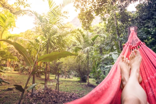 Preview: Girl Lying In A Hammock In The Tropical Jungles Of Brazil. Brasil