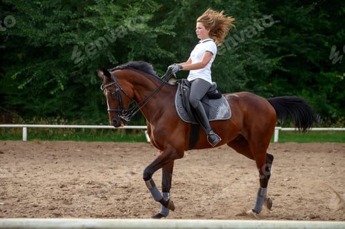 Preview: Portrait Of A Beautiful Young Girl Rider And Her Brown Horse