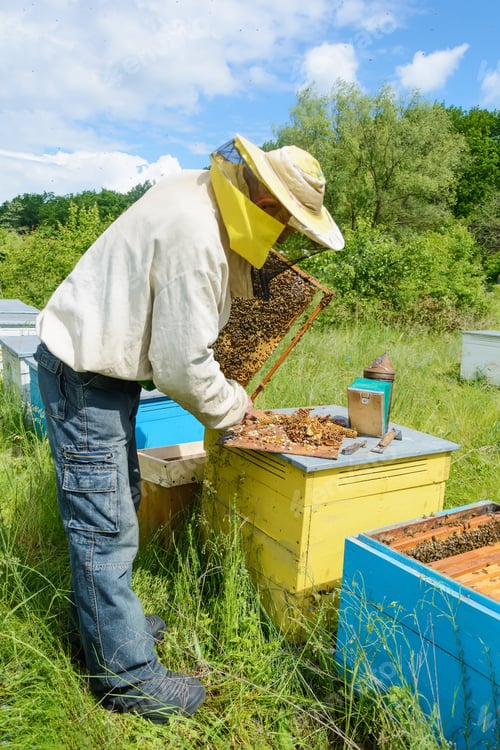 Preview: The Beekeeper Works On An Apiary. Apiary.