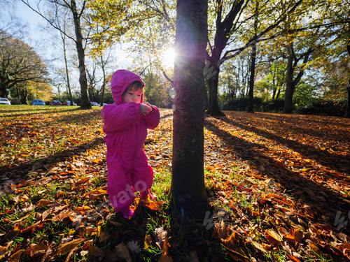 Preview: Baby Girl Playing At Autumn Forest