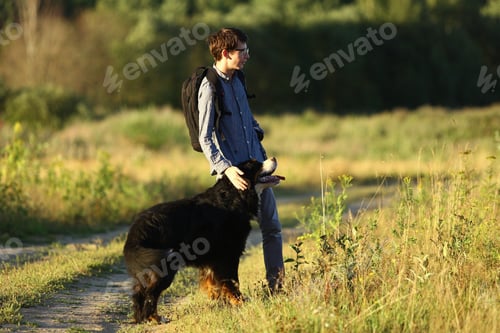 Preview: Side View At A Young Caucasian Man Training Bernese Mountain Dog On The Summer Field