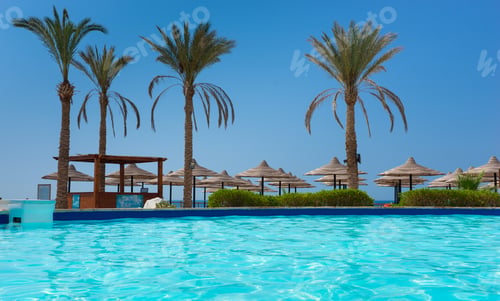 Preview: Swimming Pool With Palm Trees At The Hotel On A Summer Day