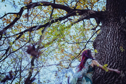 Preview: Elf Woman In A Magical Forest