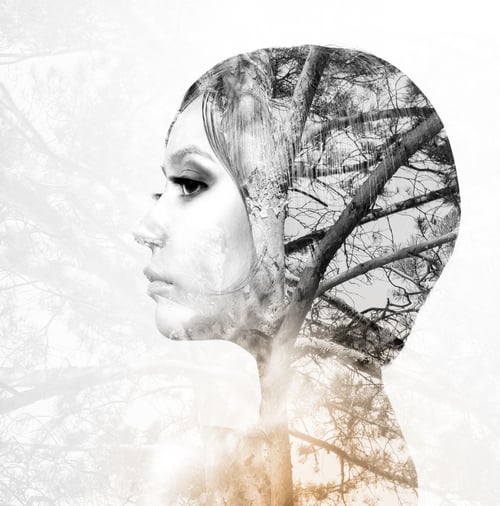 Preview: Portrait Of A Young Woman With The Effect Of Double Exposure.