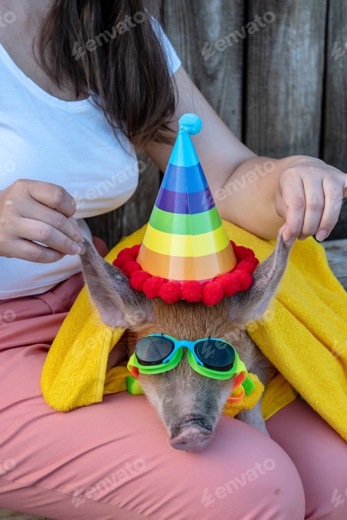 Preview: Funny Pig Wrapped In Yellow Towel Sits On Lap Of A Peasant Woman. On Piglet Wearing Rainbow