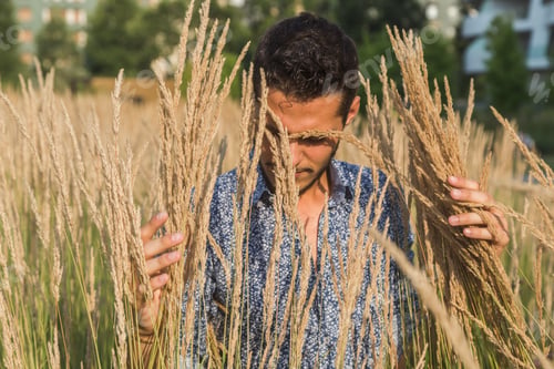 Preview: Young Handsome Man With Short Hair Posing In A Field