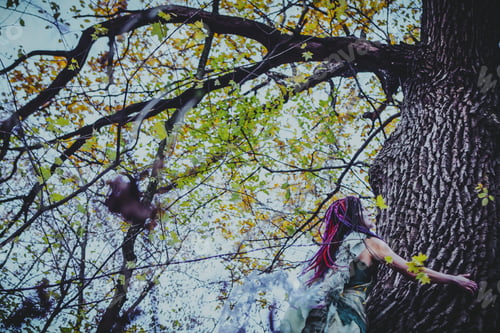 Preview: Elf Woman In A Magical Forest