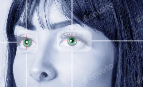 Preview: Eye System Security Identification.