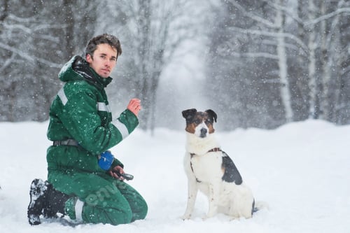 Preview: A Man With Two Cute Middle Size Dogs At Walk Outdoors In Winter. Snow Is Falling