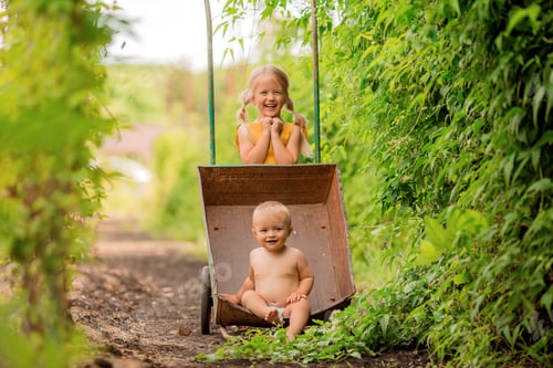 Preview: Two Small Children Girl And Boy In The Country In A Garden Wheelbarrow Sitting Smiling