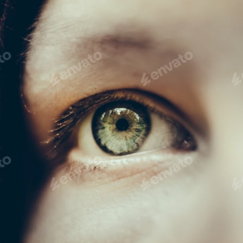 Vista previa: Closeup Macro Of Green Eye