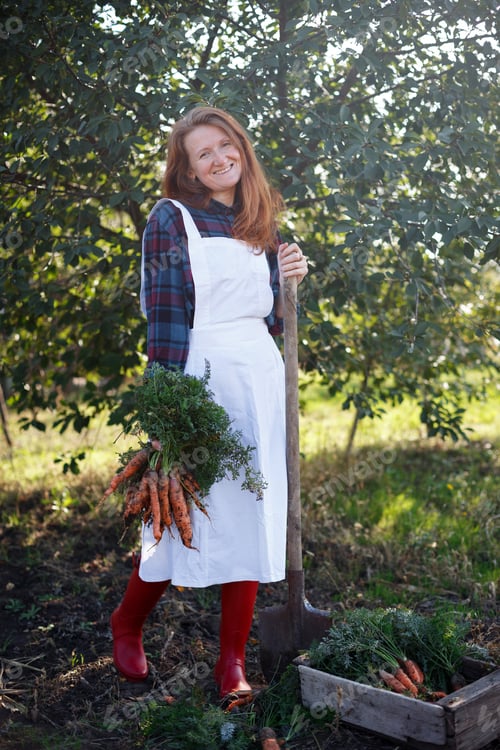Preview: Harvesting Carrots. Happy Girl Picks Carrots In The Garden
