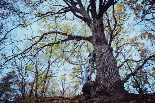 Preview: Elf Woman In A Magical Forest